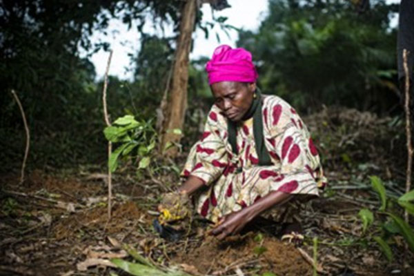 The-Impact-Of-REDD+-Implementation-On-Women-In-Cross-River-2