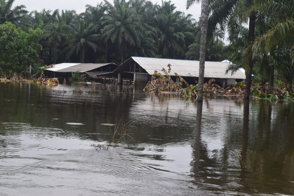 Nigeria’s Federal Government and the Devastating Impact of Ignored Flood Warnings