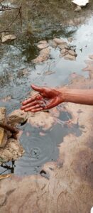 Trans Niger Oil Spill in Bodo Community